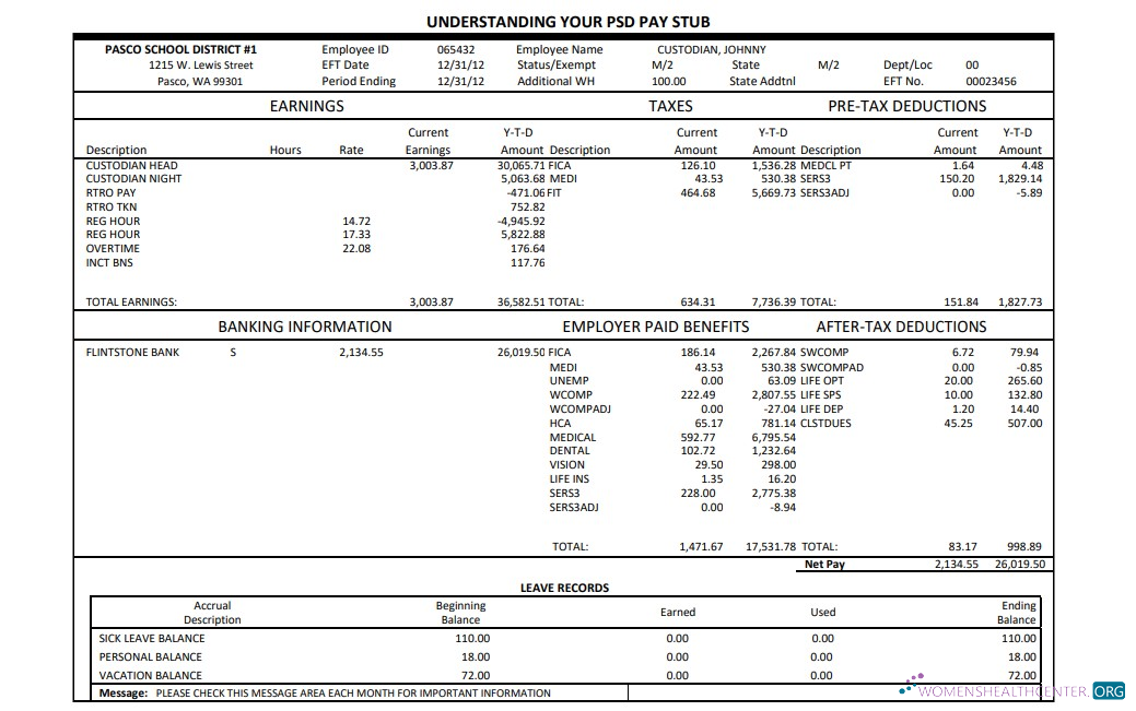 Download Pasco school district pay stub Word and PDF template Photoshop template